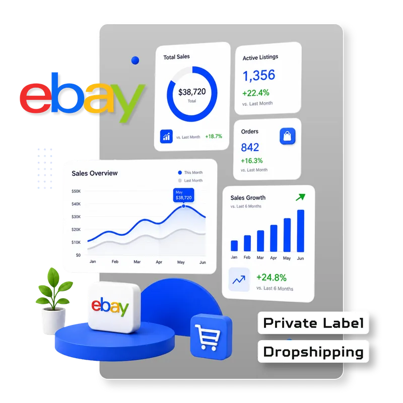 SolveMerce eBay services card